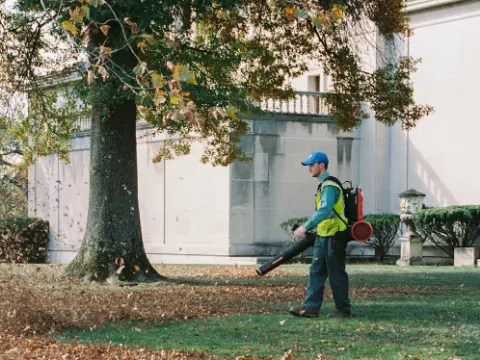 A worker clearing fall leaves from a lawn with a backpack blower.